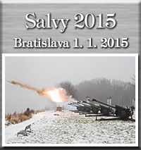 Novoron salvy 1.1.2015