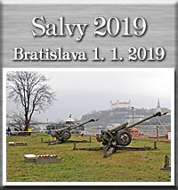 Novoročné salvy 1.1.2019 - Bratislava